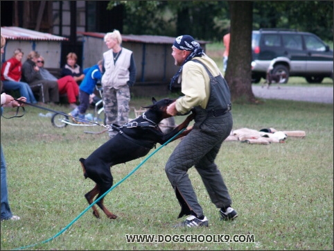 Training camp - Lukova 2007